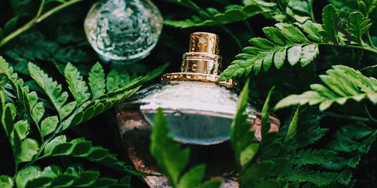 Elegant perfume bottle with gold cap nestled in fresh green ferns — symbolizing day-to-night scent transitions by Seraphine Scents