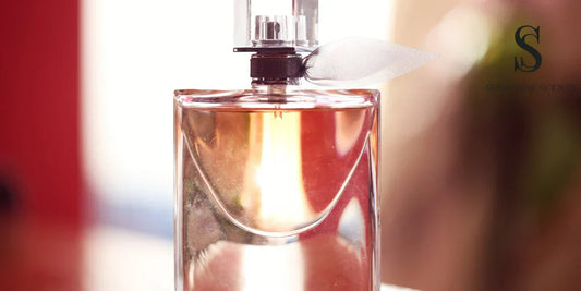 Close-up of a perfume spray bottle with soft lighting — Seraphine Scents